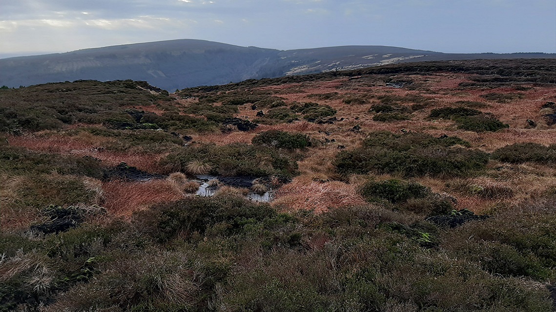 [wpml-string context="slieve" name="title2"]SLIEVE BLOOM MOUNTAINS NATURE RESERVE[/wpml-string]