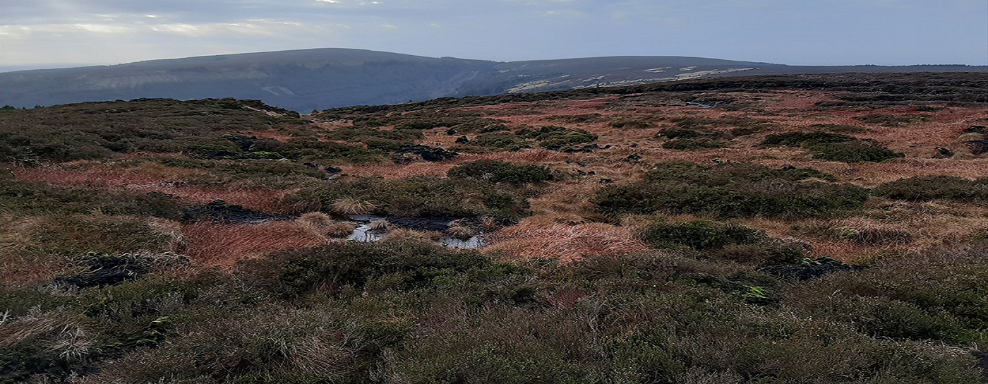 [wpml-string context="slieve" name="title2"]SLIEVE BLOOM MOUNTAINS NATURE RESERVE[/wpml-string]